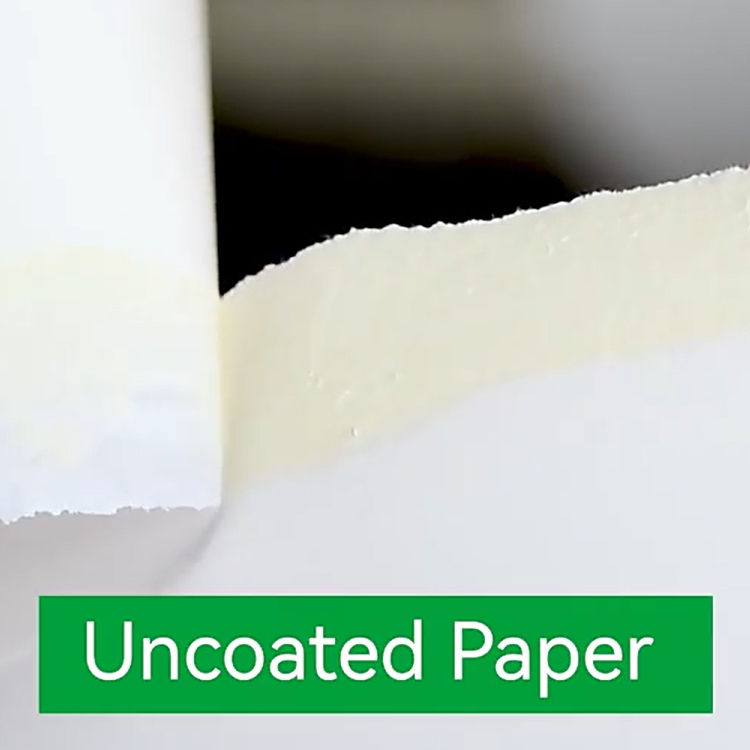 Cupstock paper6.jpg
